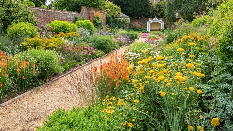 The newly planted perennial Mingle Border at Peckover House in Cambridgeshire August 2025. Tall blooms on either side of a pathway featuring bright and vibrant colours.